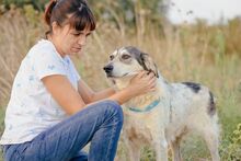 DEREK, Hund, Mischlingshund in Griechenland - Bild 4