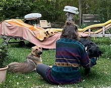 MAJA, Hund, Mischlingshund in Gelsenkirchen - Bild 20