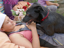 KEIKO, Hund, Labrador-Mix in Rumänien - Bild 2