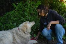 FILOMELA, Hund, Maremmano-Mix in Italien - Bild 13