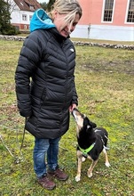 ANNETTE, Hund, Mischlingshund in Beelitz - Bild 10