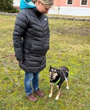 ANNETTE, Hund, Mischlingshund in Beelitz - Bild 11