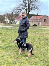 ANNETTE, Hund, Mischlingshund in Beelitz - Bild 13