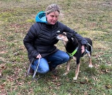 ANNETTE, Hund, Mischlingshund in Beelitz - Bild 9