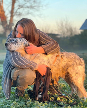 MAXWELL, Hund, English Setter in Italien - Bild 2