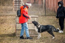MIRA, Hund, Mischlingshund in Rumänien - Bild 20