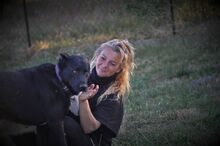 BLACKY, Hund, Mischlingshund in Griechenland - Bild 2