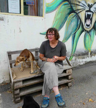 ROZALIA, Hund, Mischlingshund in Bulgarien - Bild 8