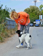 MERLINDA, Hund, Mischlingshund in Bulgarien - Bild 7