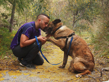 LUNA, Hund, Mischlingshund in Spanien - Bild 4