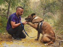 LUNA, Hund, Mischlingshund in Spanien - Bild 6