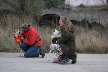 HOPE, Hund, Mischlingshund in Spanien - Bild 12