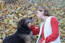 INGRID, Hund, Mischlingshund in Rumänien - Bild 5