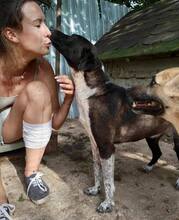 LISBETH, Hund, Mischlingshund in Rumänien - Bild 3