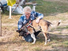 LIA, Hund, Mischlingshund in Rumänien - Bild 2