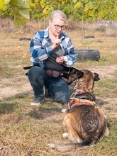 LIA, Hund, Mischlingshund in Rumänien - Bild 4
