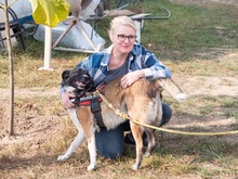 LIA, Hund, Mischlingshund in Rumänien - Bild 6