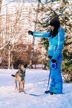 KERSTIN, Hund, Mischlingshund in Russische Föderation - Bild 9