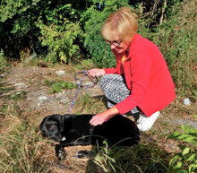 DINA, Hund, Mischlingshund in Bulgarien - Bild 5