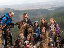 DIV, Hund, Mischlingshund in Bulgarien - Bild 2