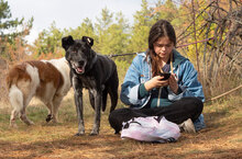 DIV, Hund, Mischlingshund in Bulgarien - Bild 4