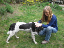 TOTO, Hund, Mischlingshund in Berlin - Bild 11