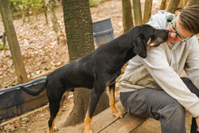 JACKY, Hund, Mischlingshund in Bulgarien - Bild 12