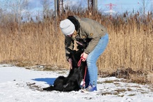 LEONARD, Hund, Mischlingshund in Slowakische Republik - Bild 5