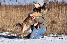 RIKI, Hund, Mischlingshund in Slowakische Republik - Bild 4