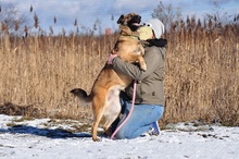 RIKI, Hund, Mischlingshund in Slowakische Republik - Bild 6