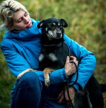 CARBONARA, Hund, Mischlingshund in Ungarn - Bild 1