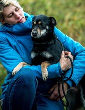 CARBONARA, Hund, Mischlingshund in Ungarn - Bild 5