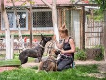 RHEA, Hund, Mischlingshund in Biederitz - Bild 26
