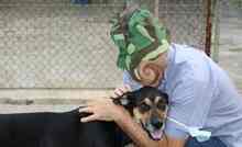 DIANA, Hund, Mischlingshund in Spanien - Bild 4