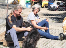 TAMEA, Hund, Briard-Mix in Bulgarien - Bild 15