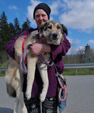 LENJA, Hund, Mischlingshund in Frankfurt - Bild 15