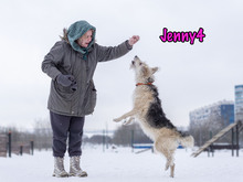 JENNY4, Hund, Mischlingshund in Russische Föderation - Bild 28