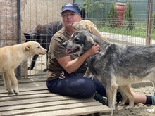 EIKO, Hund, Mischlingshund in Egelsbach - Bild 5