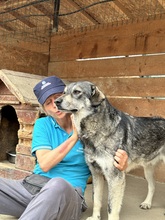 EIKO, Hund, Mischlingshund in Egelsbach - Bild 8