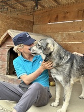EIKO, Hund, Mischlingshund in Egelsbach - Bild 9