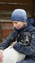 EMIL, Hund, Mischlingshund in Rumänien - Bild 4