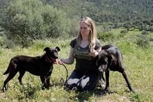 ARGO, Hund, Labrador-Mix in Italien - Bild 6