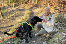 NICKI, Hund, Labrador Retriever-Mix in Lauf - Bild 16