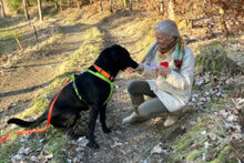 NICKI, Hund, Labrador Retriever-Mix in Lauf - Bild 17
