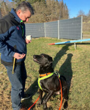 NICKI, Hund, Labrador Retriever-Mix in Lauf - Bild 28