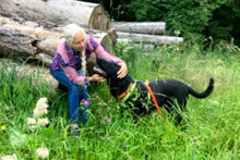 NICKI, Hund, Labrador Retriever-Mix in Lauf - Bild 35