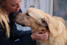 PITIU, Hund, Mischlingshund in Italien - Bild 15