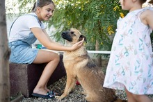 KARMA, Hund, Mischlingshund in Rumänien - Bild 17