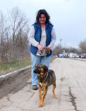 JADEN, Hund, Mischlingshund in Bulgarien - Bild 3