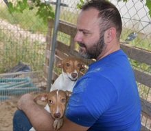 DANA, Hund, Bodeguero-Podenco-Mix in Markdorf - Bild 23